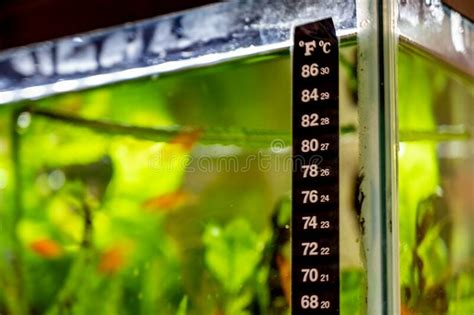 how to read aquarium thermometer